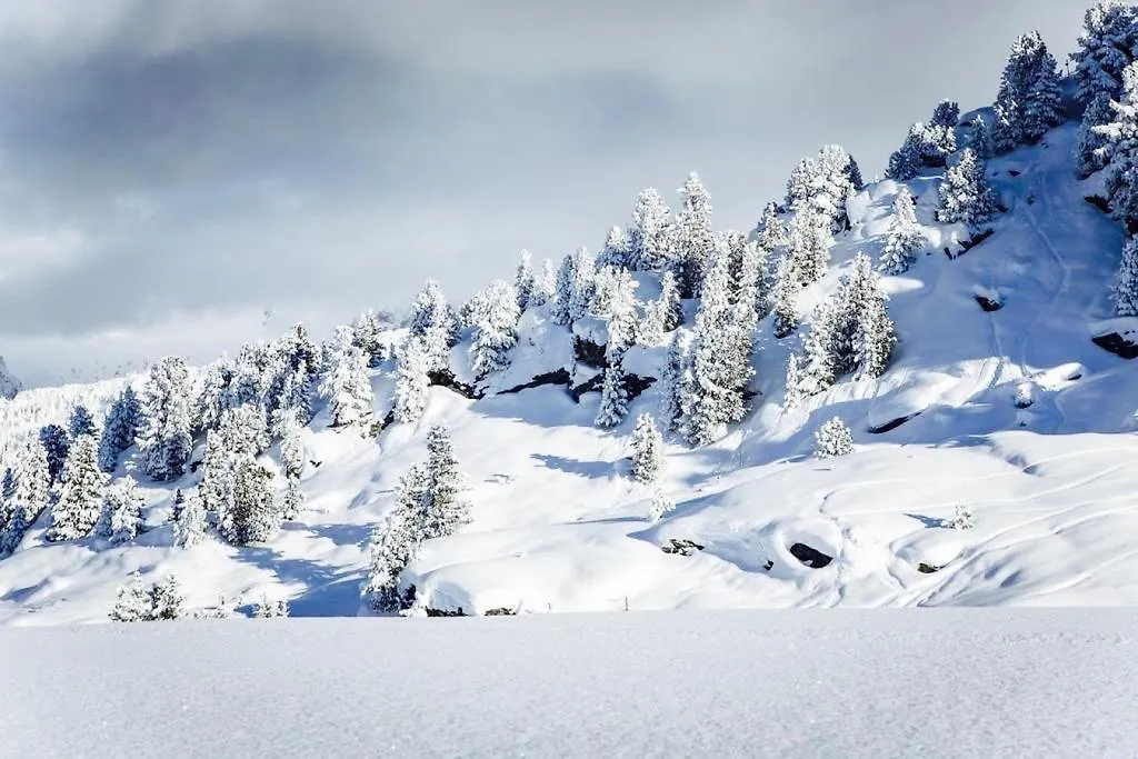 Domaine Du Jardin Alpin Apartment Courchevel 0*,